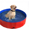 dog pool