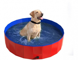 dog pool