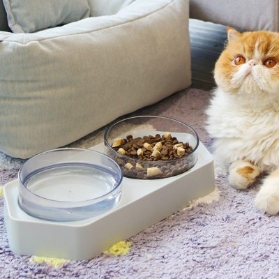 OEM Wholesale Hexagonal Double Bowl Anti-Slip Pet Cat Bowl